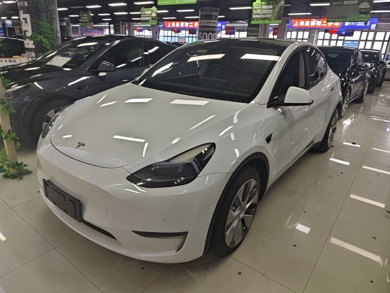 Model Y 2021 Standard Range RWD