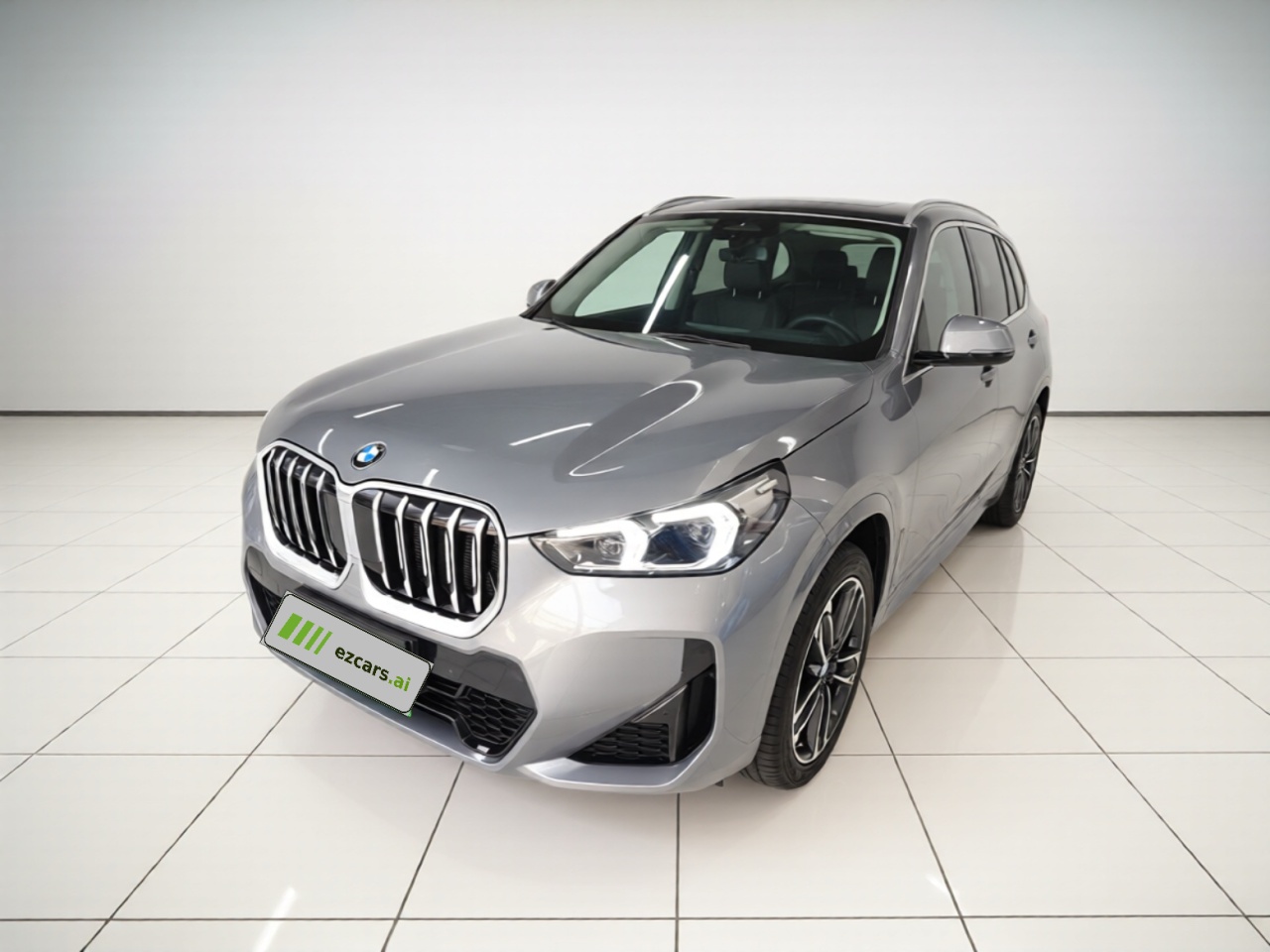 X1 2023 sDrive25Li M Sport Package