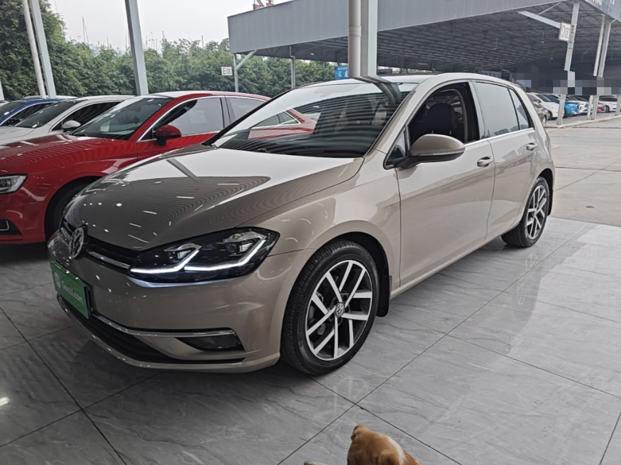Golf 2019 280TSI DSG Luxury China VI