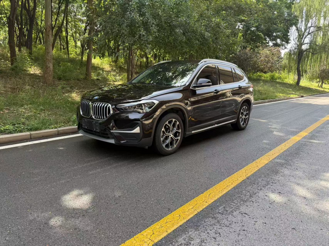 X1 2021 Facelift sDrive25Li Leading