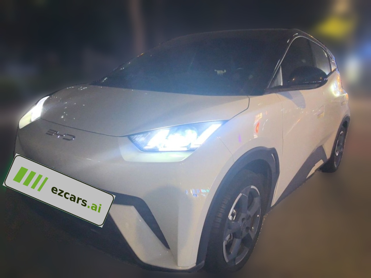 Seagull 2023