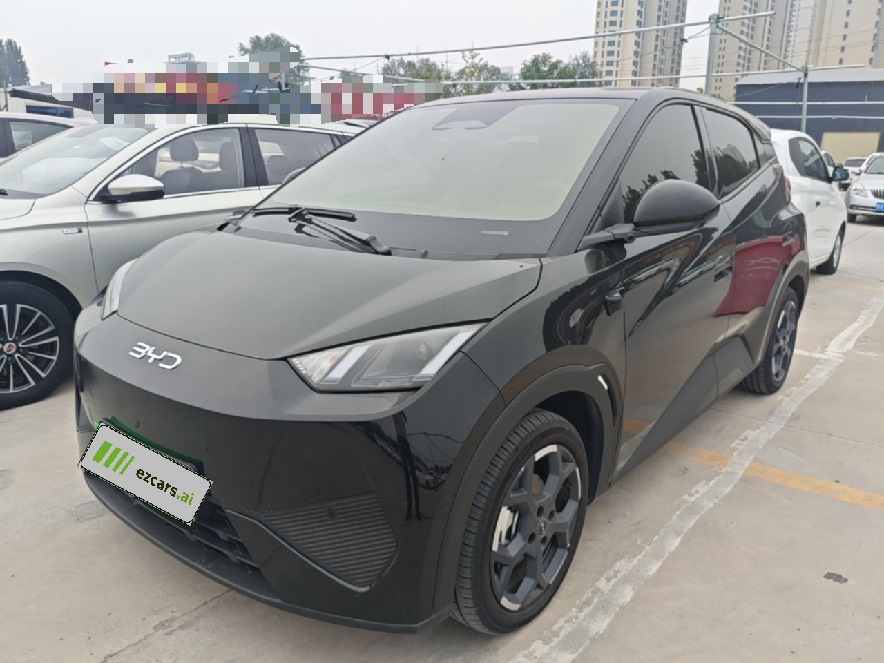 Seagull 2025 ADAS 305km