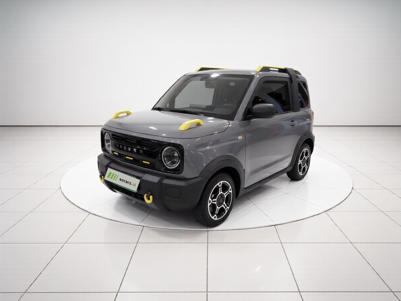 2023 Panda mini