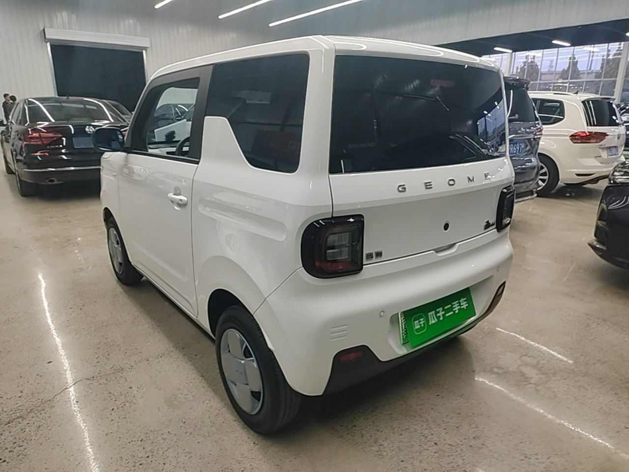 2023 Panda mini 200km Endurance Bear photo 4