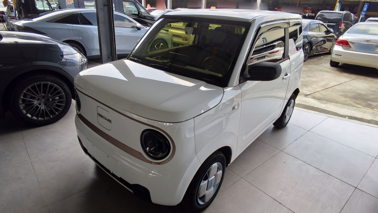 2023 Panda mini 200km Endurance Bear
