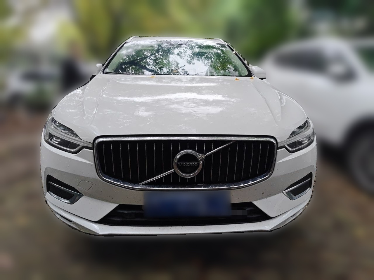 XC60 2019 T5 AWD China VI photo 2