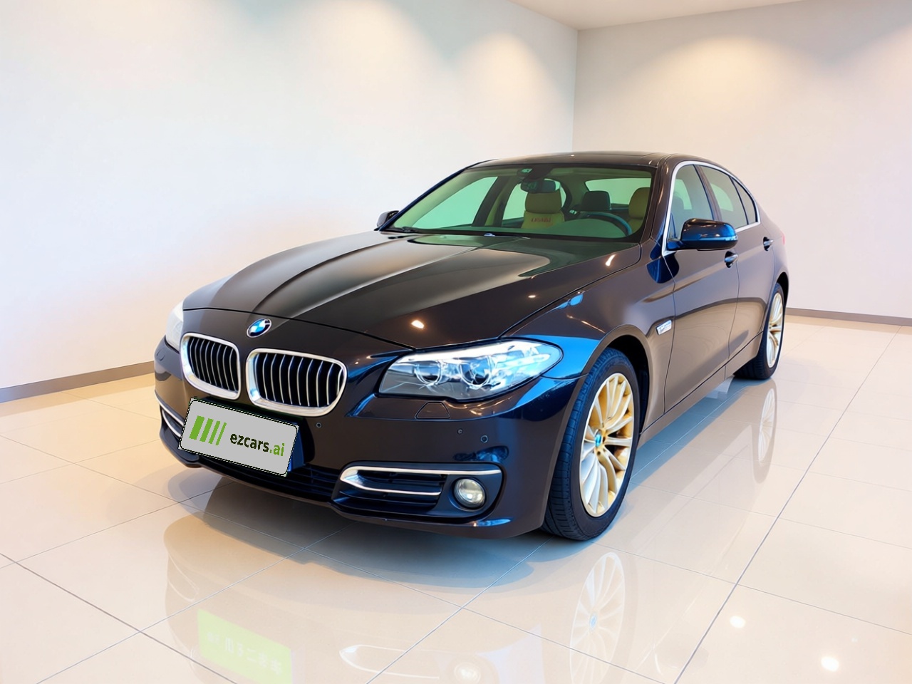 5 Series 2014 525Li Luxury Design Package