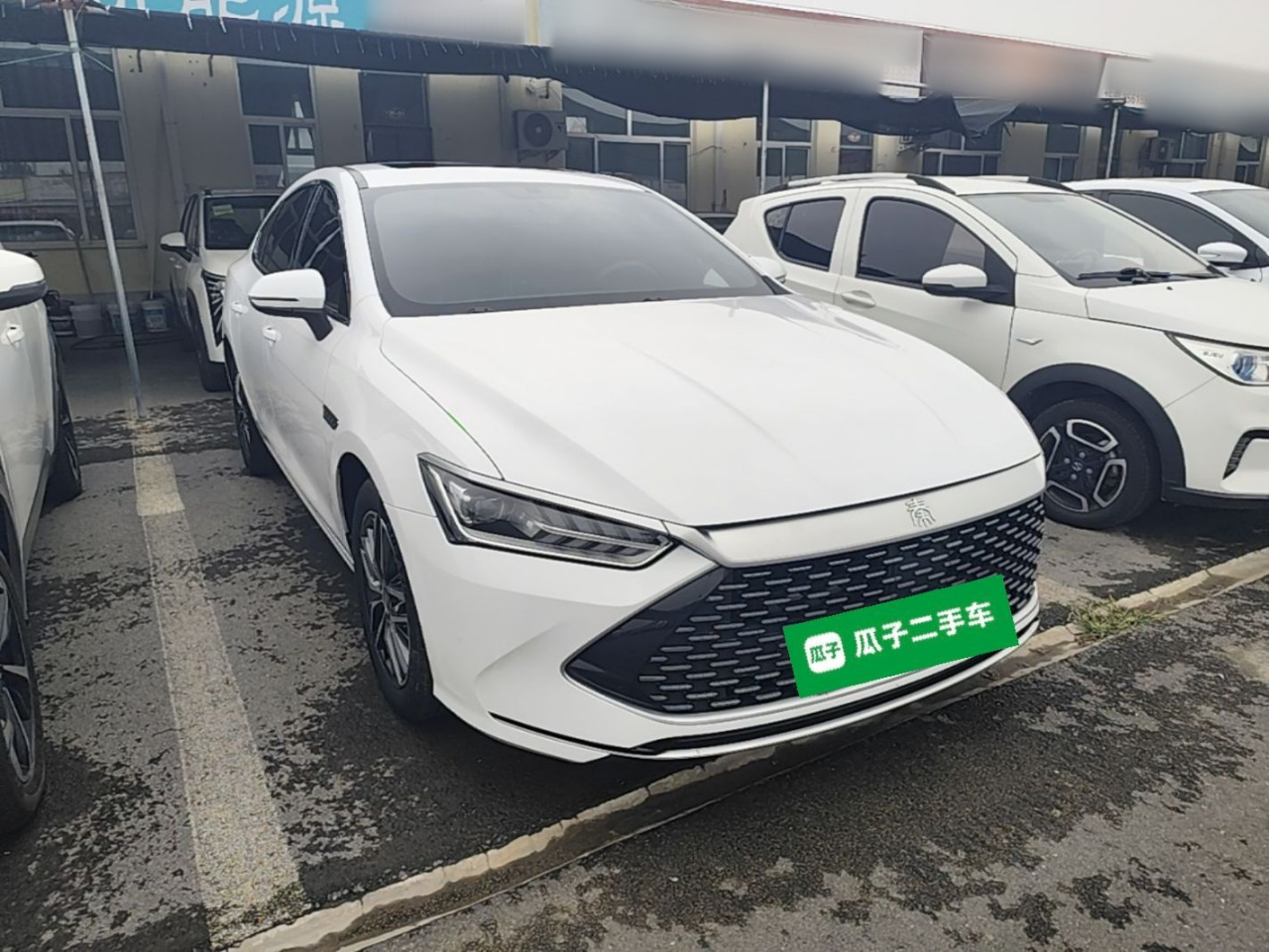 Qin PLUS 2021 DM-i 55KM Flagship photo 3