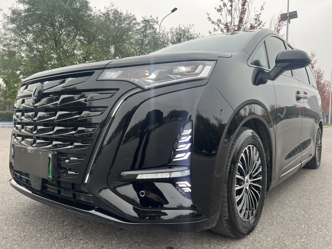 D9 2024 DM-i 980 AWD Noble photo 2