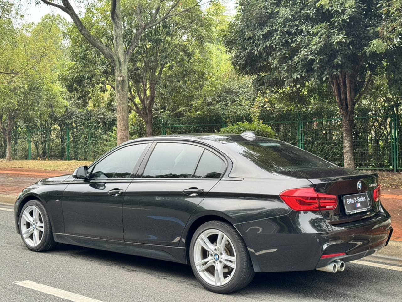 3 Series 2019 320Li M Luxury photo 4