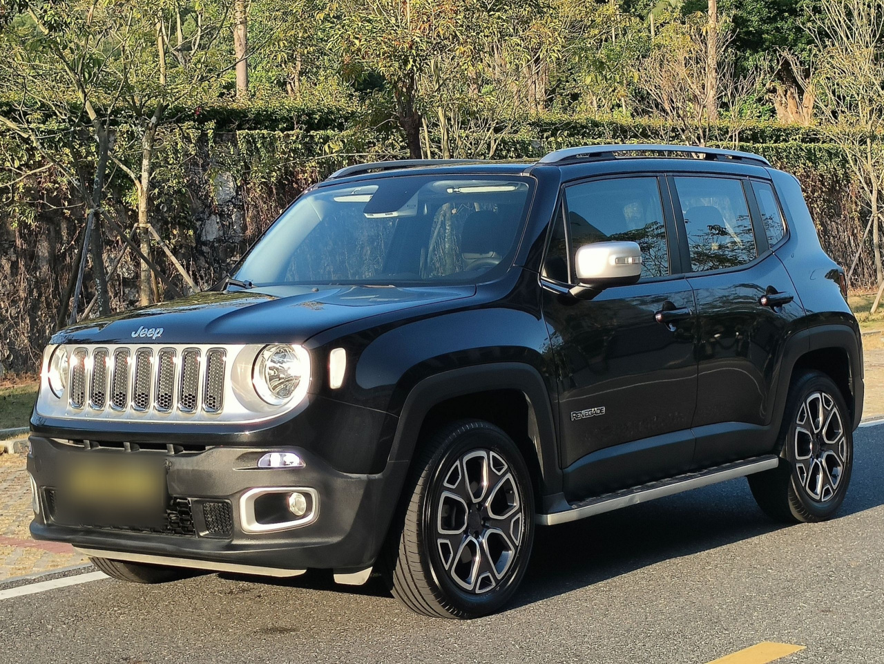 Renegade 2017 180TS AT AWD