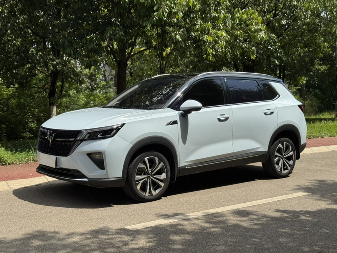 Wuling 2022 2.0L DHT