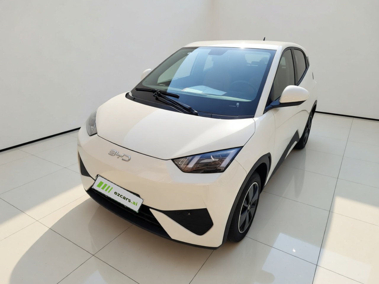 Seagull 2025 ADAS 305km