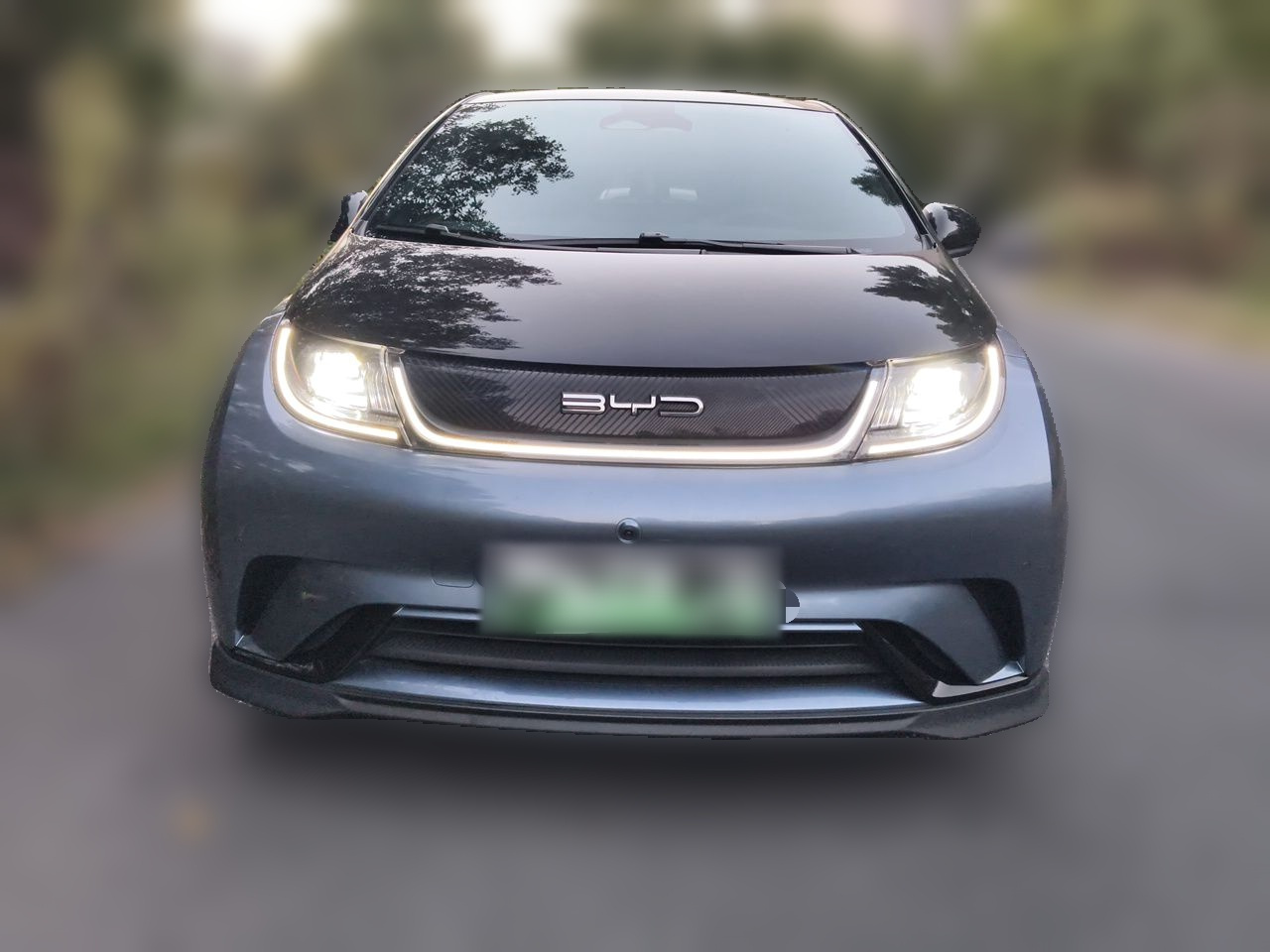 Dolphin 2023 401km photo 2