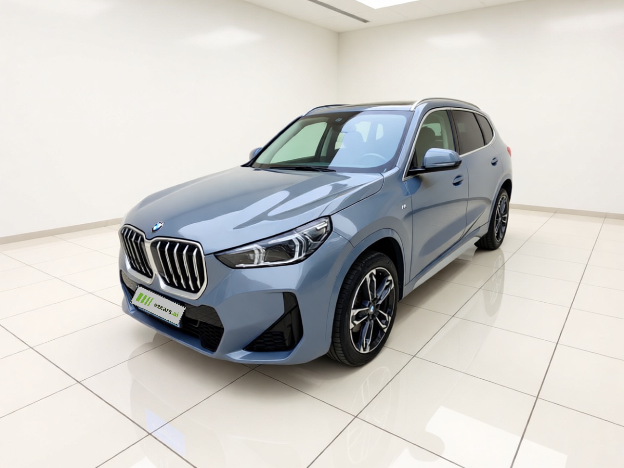 X1 2023 sDrive25Li M Sport Package