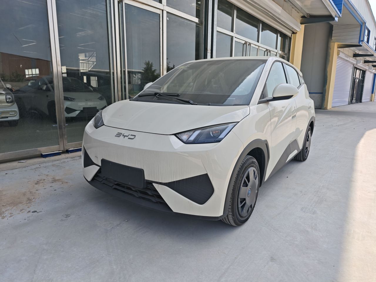 Seagull 2025 ADAS 305km