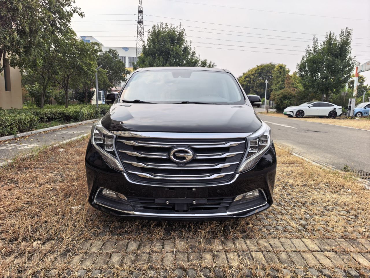 GAC Trumpchi M8 2018 320T Flagship photo 2
