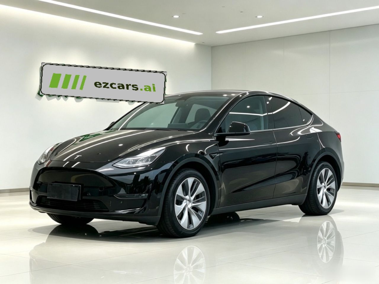 Model Y 2021 Standard Range RWD