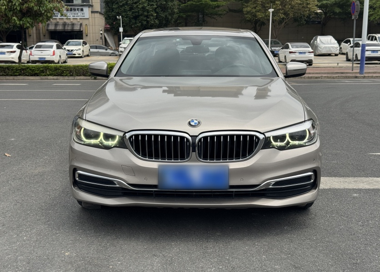 5 Series 2020 525Li Luxury photo 2