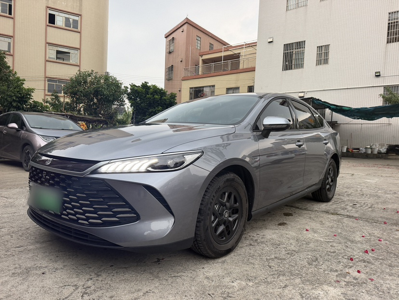 Qin PLUS 2025 DM-i ADAS 55KM Leading
