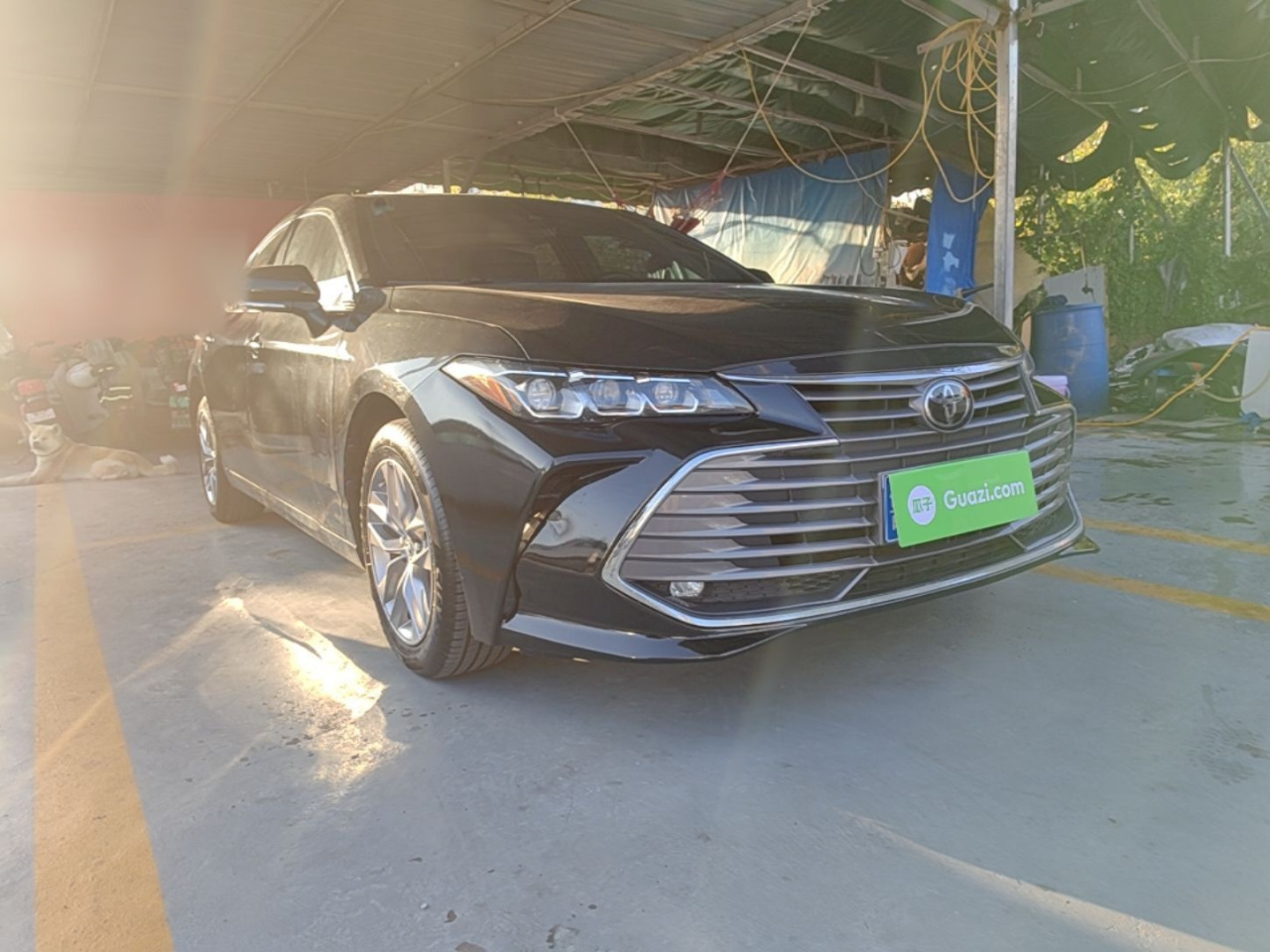 Avalon 2019 2.0L Progressive China VI photo 3