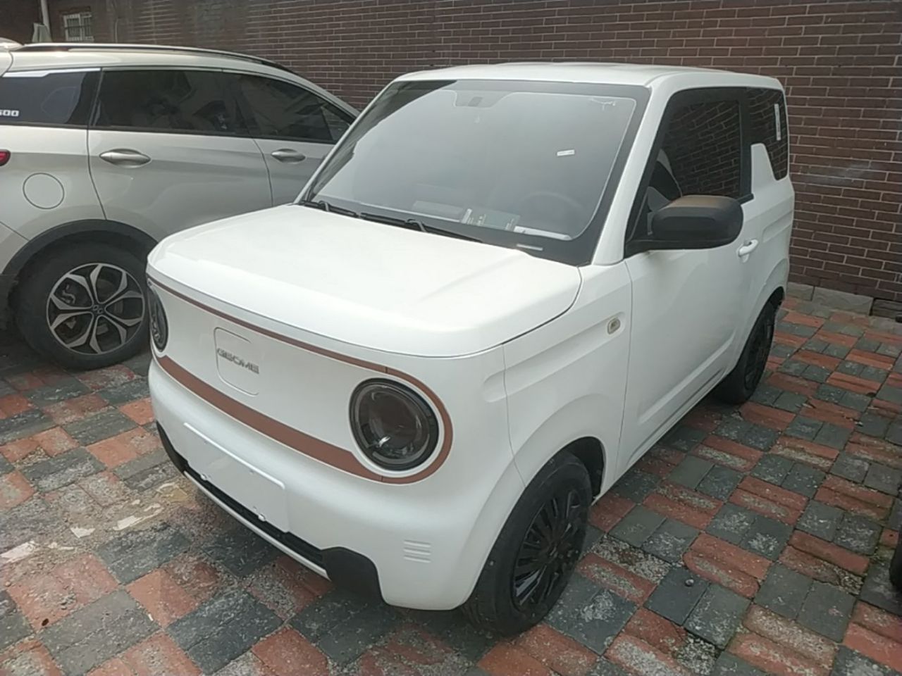 2023 Panda mini 200km Endurance Bear