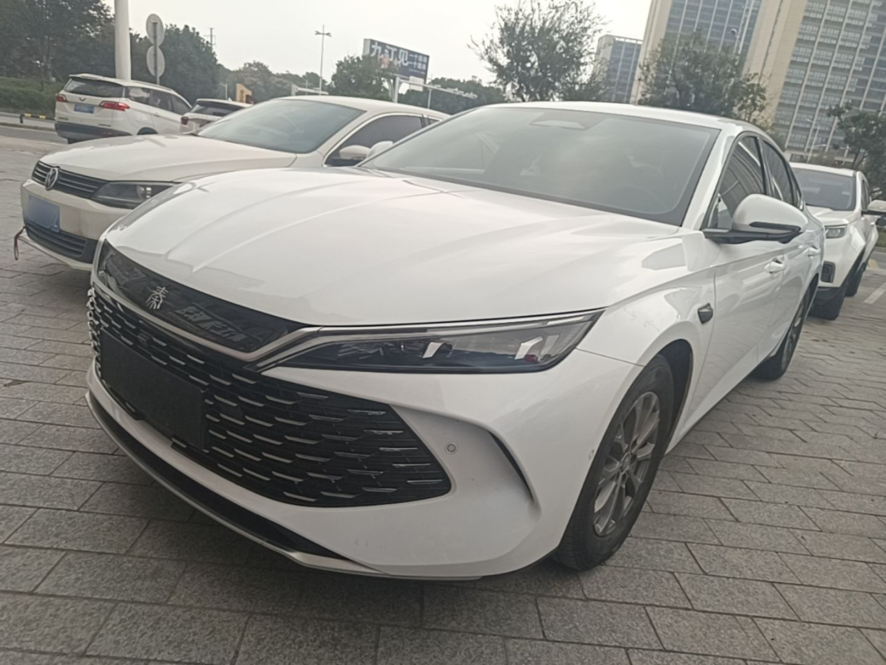 Qin L 2025 DM-i ADAS 80KM Leading
