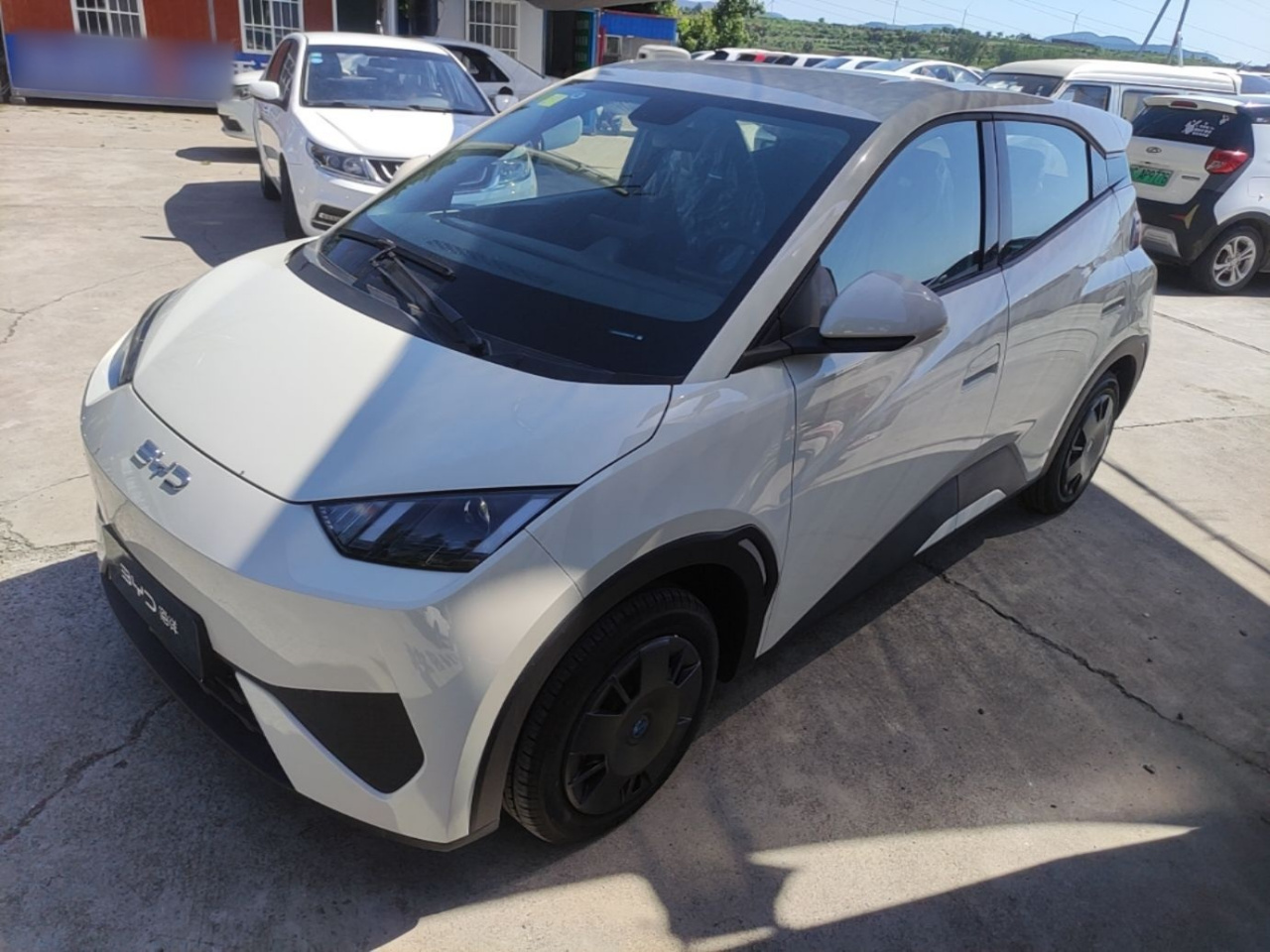 Seagull 2025 ADAS 305km