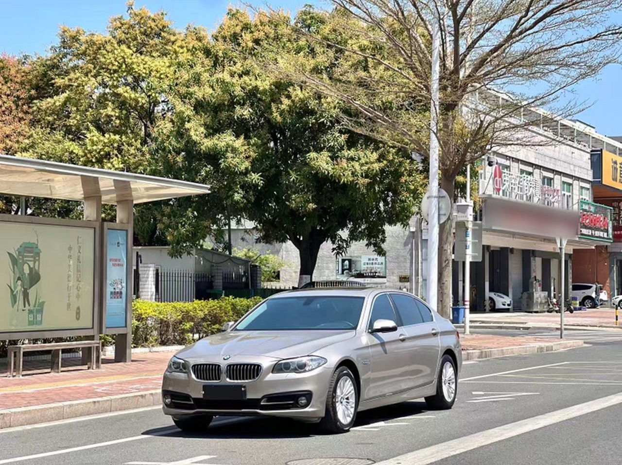 5 Series 2014 525Li Leading