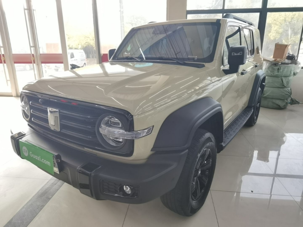 300 2025 2.0T Petrol Conqueror