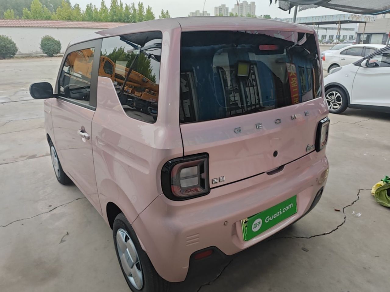 2023 Panda mini 200km Endurance Bear photo 4