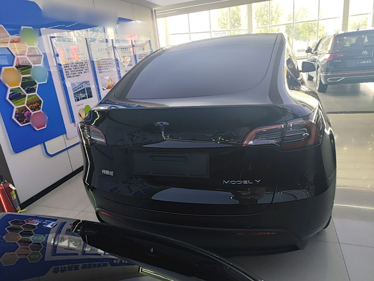 Model Y 2024 RWD photo 3