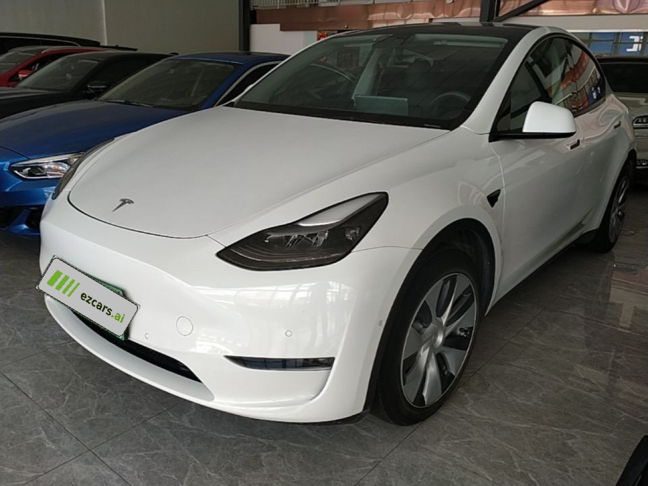 Model Y 2021 Standard Range RWD