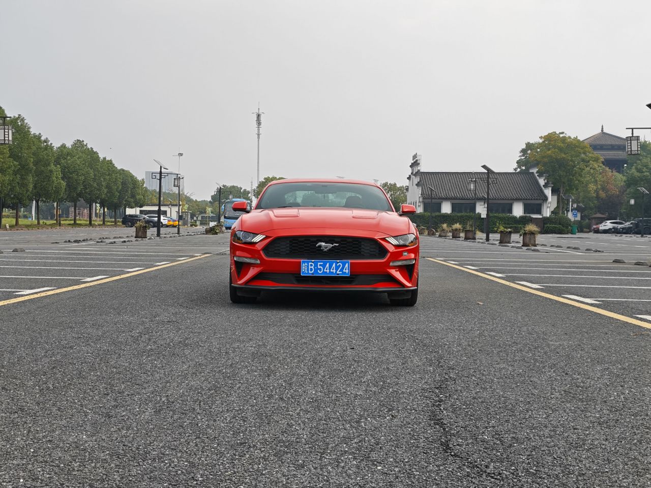 Mustang Parallel Import photo 4