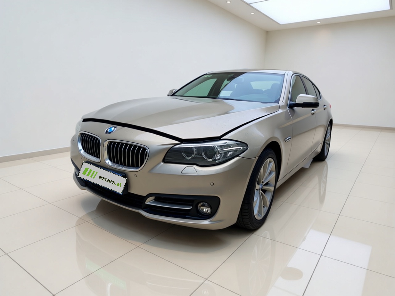 5 Series 2017 525Li Leading