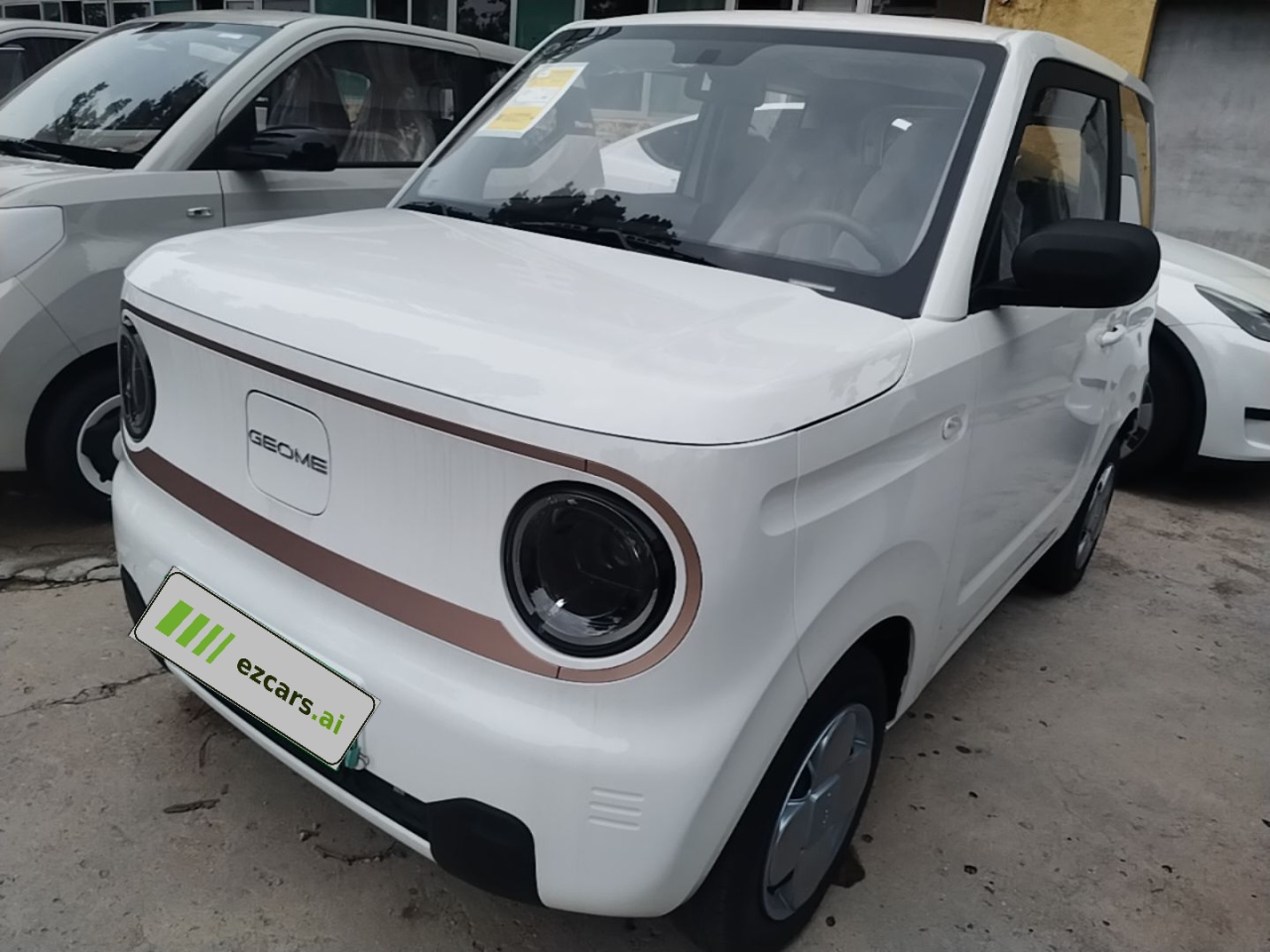 2024 Panda mini 200km Endurance Bear