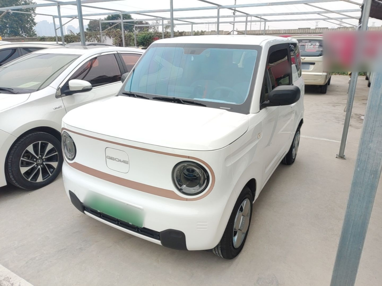 2024 Panda mini 200km Endurance Bear