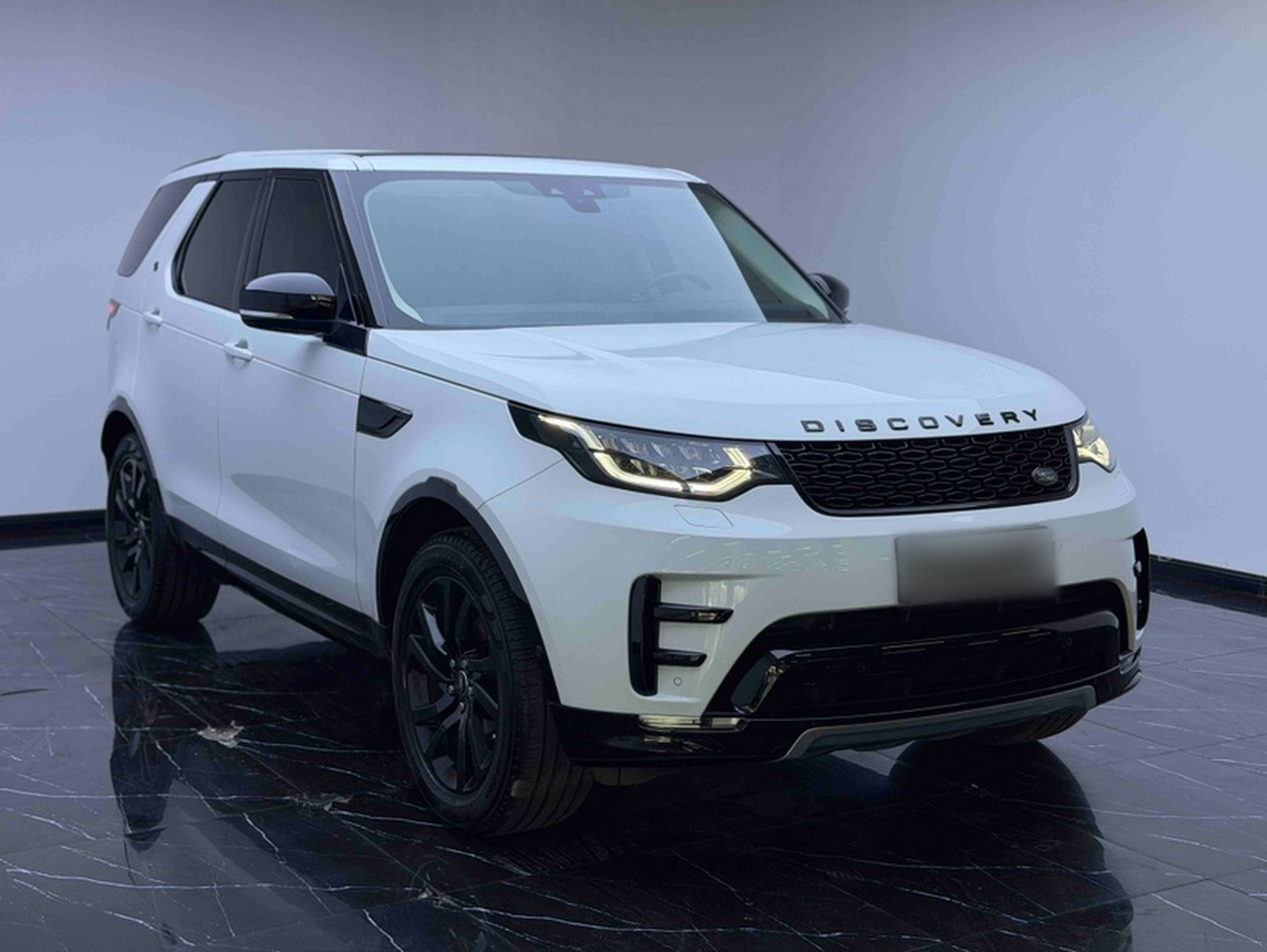 Discovery 2020 2.0T 30 Special photo 2
