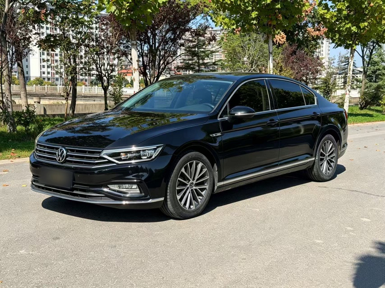 Magotan 2020 330TSI DSG Leading