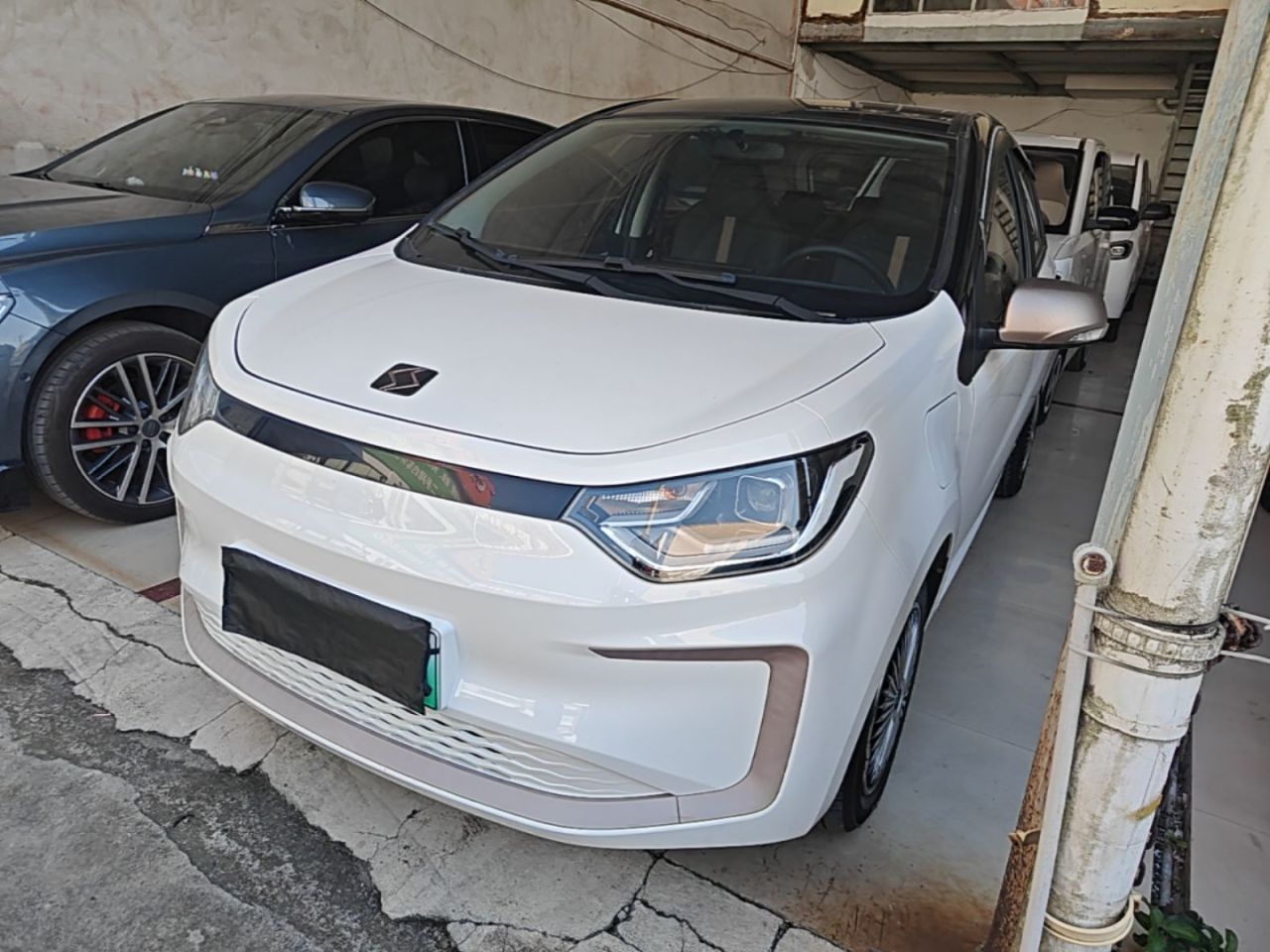 Sehol 2022 Flower Fairy