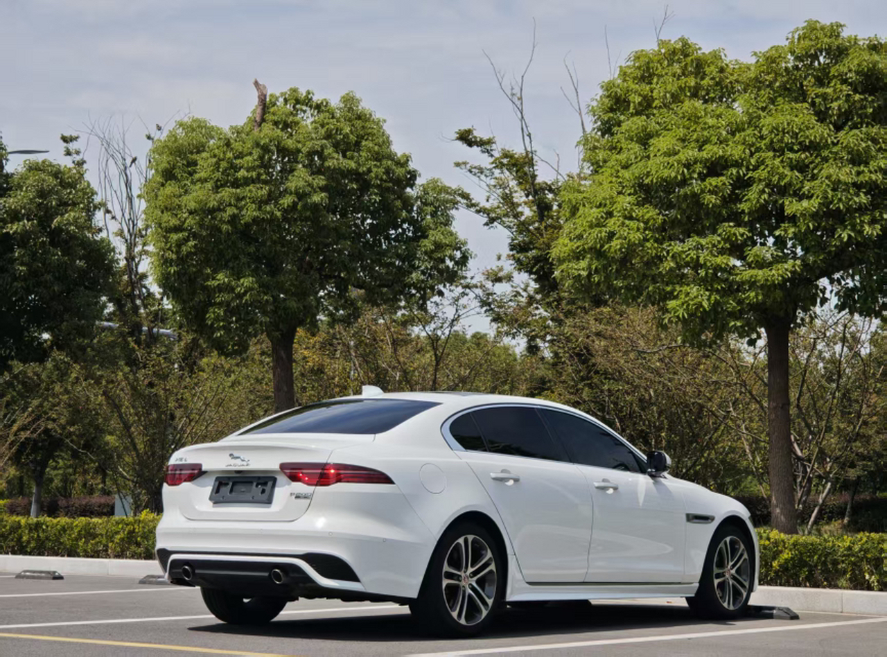 XEL 2020 2.0T 200PS R-DYNAMIC S Progressive Sport photo 3