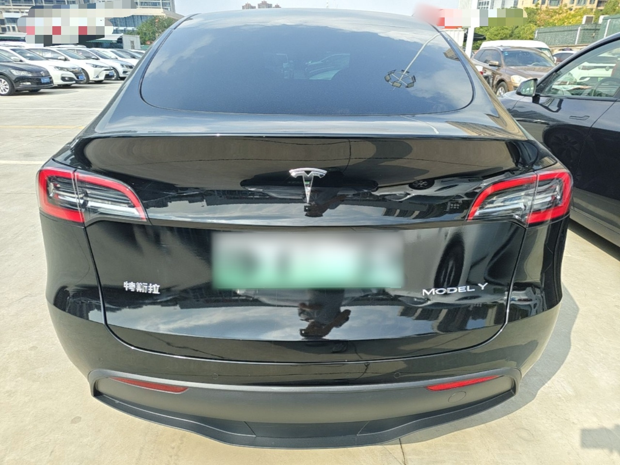 Model Y 2023 RWD photo 5