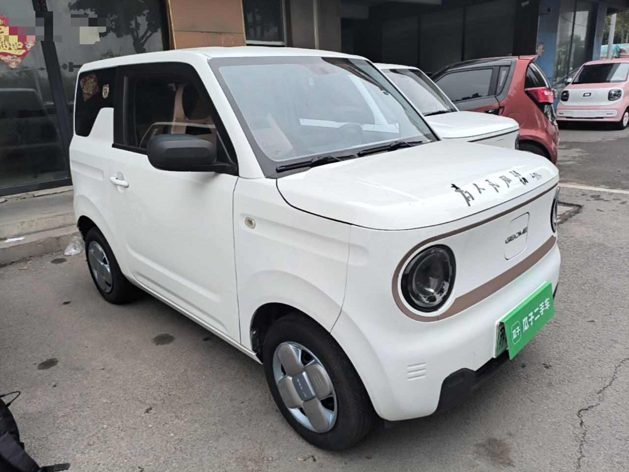 2024 Panda mini 200km Endurance Bear photo 3