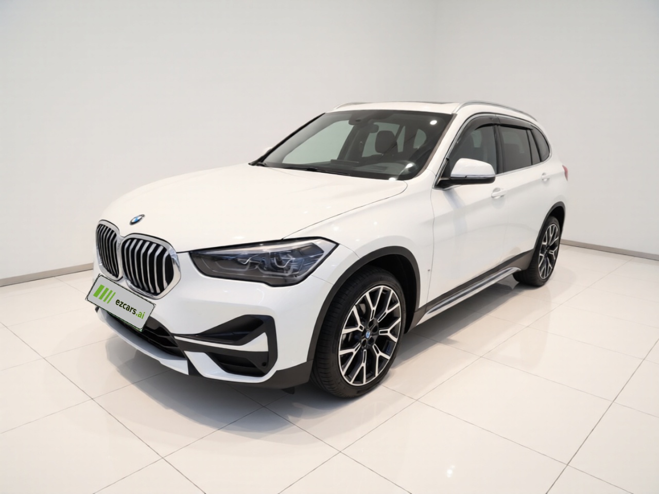 X1 2021 xDrive25Li Exclusive