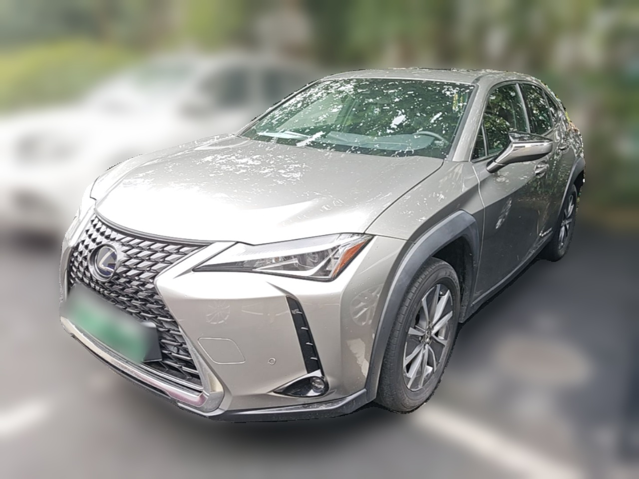UX EV 2020 300e