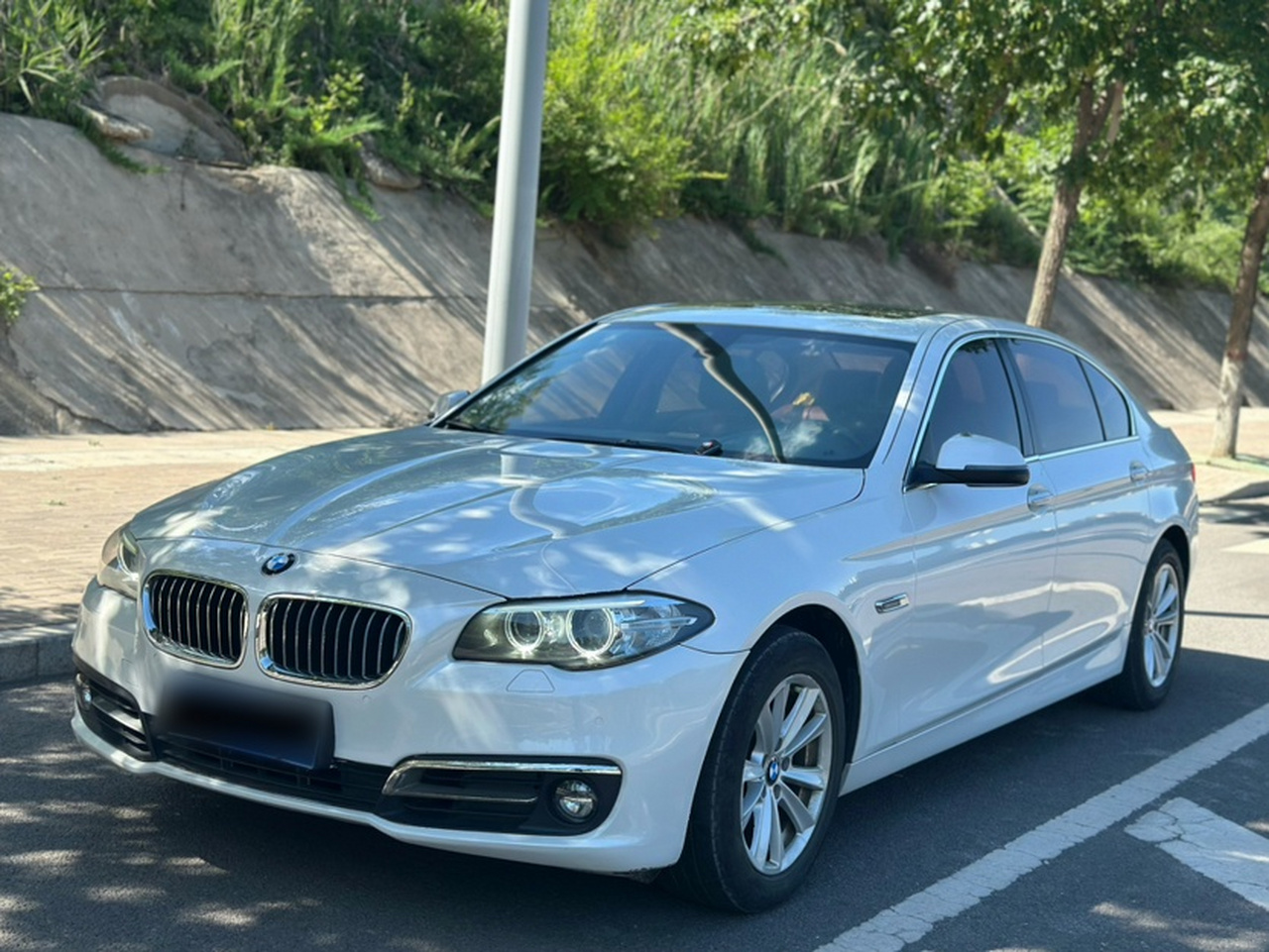5 Series 2014 520Li