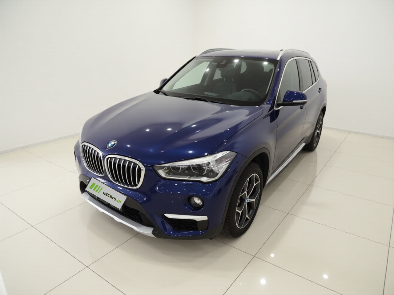 X1 2019 xDrive20Li Luxury
