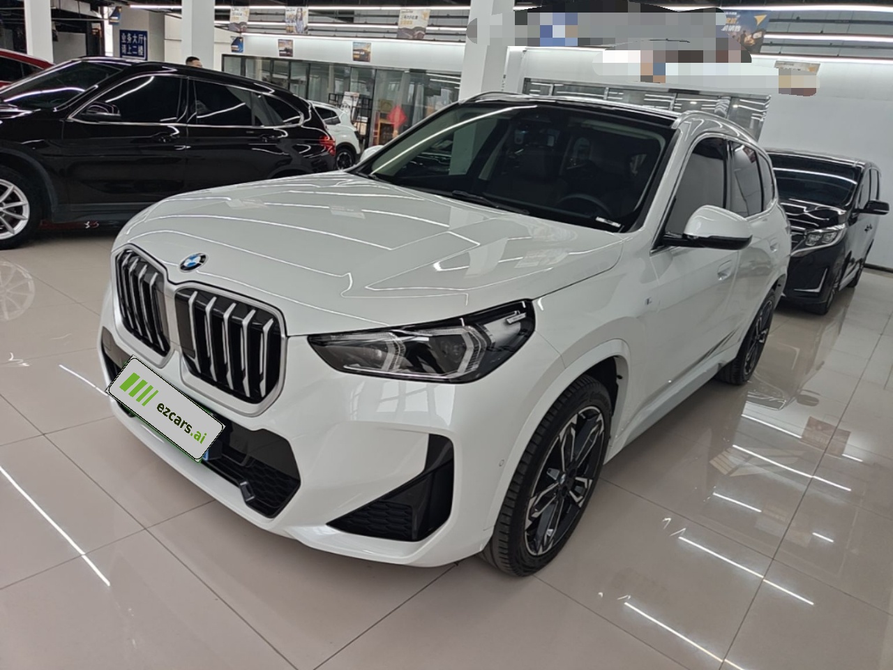 X1 2023 sDrive25Li M Sport Package