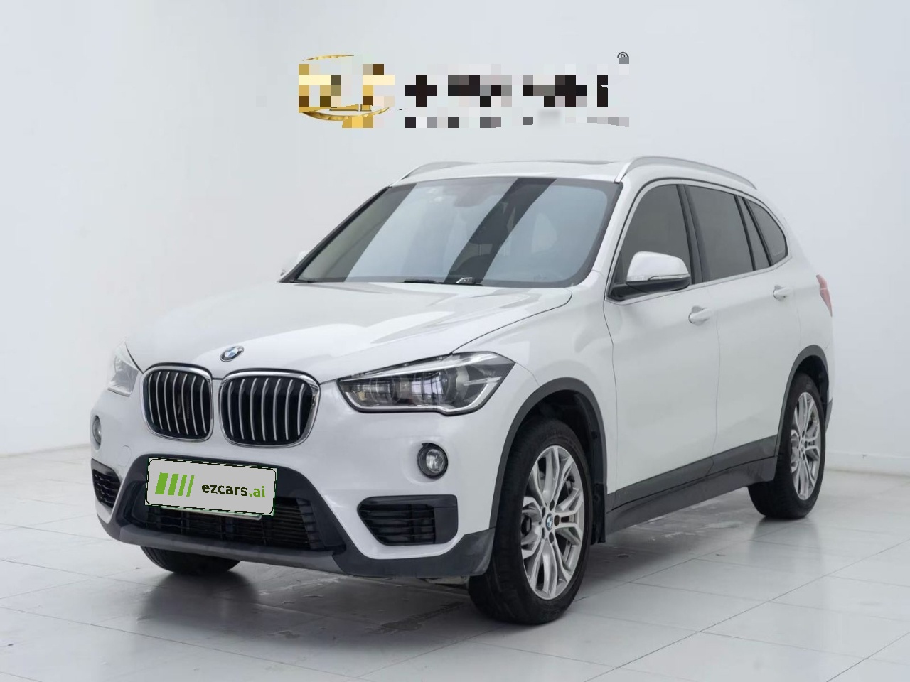 X1 2019 sDrive20Li Leading