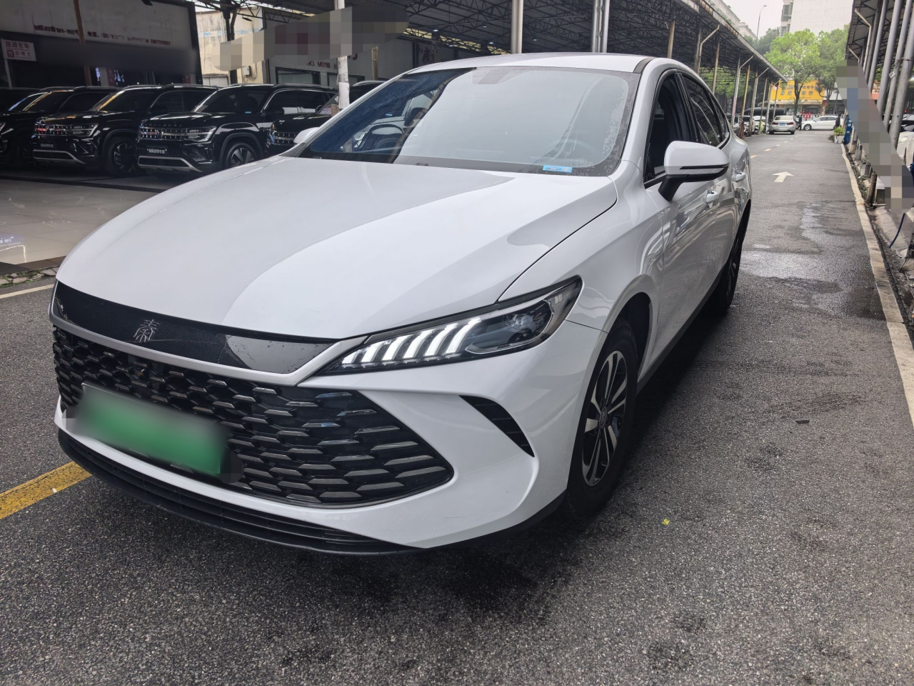 Qin PLUS 2026 DM-i 128KM Progressive